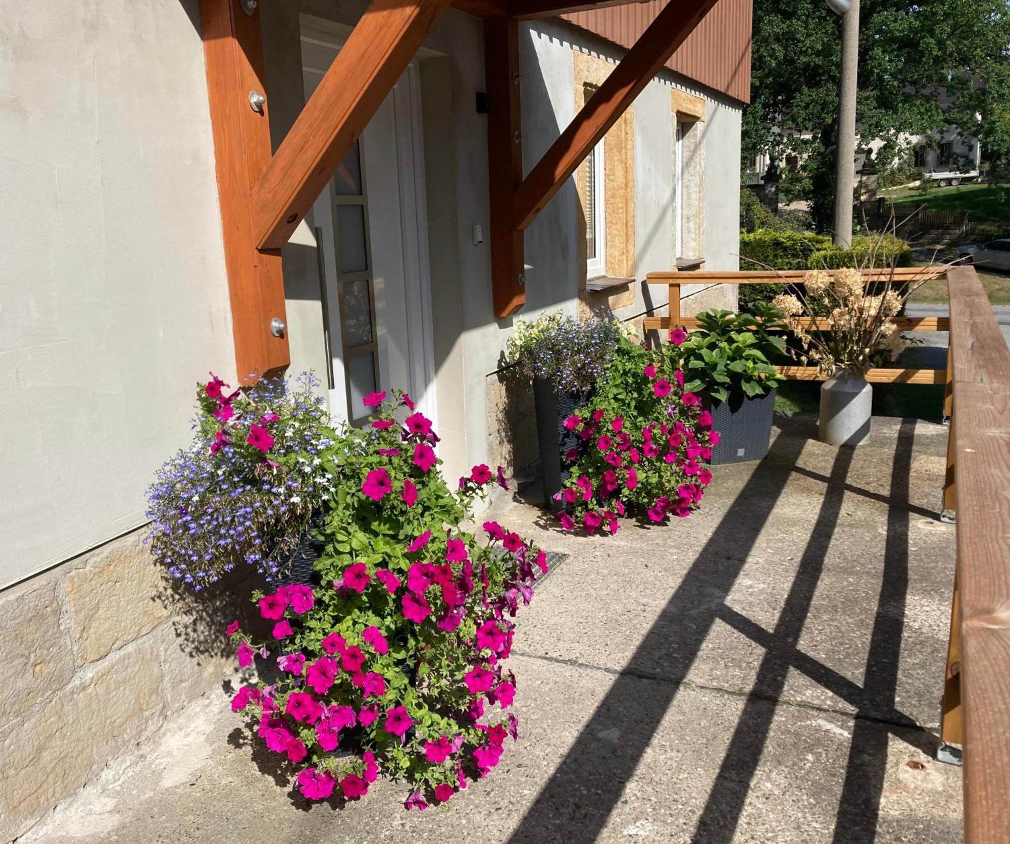 Ferienwohnung "Am Kirchsteig" Kurort Gohrisch Exteriör bild